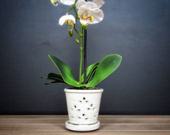Waikiki 2018 Edition (SMALL 4.5") Handmade Ceramic Orchid Pot With Attached Saucer, Glazed Pottery, Glazed Pottery, Orchid Planter