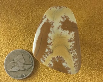 Owyhee Picture Jasper cabochon