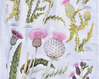 Botanical tea towel – Thistle