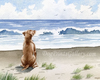 HUNGARIAN VIZSLA Art Print Watercolor Signed by Artist DJ Rogers