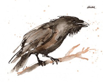 Raven, crow, original ink painting on paper, in frames