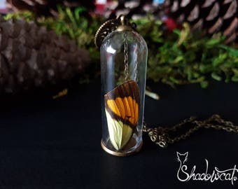 Butterfly wing pendant. Butterfly wing necklace