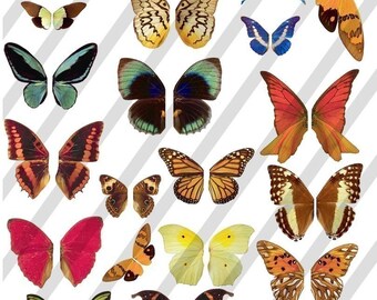 Digital Collage Sheet Wings (Sheet no. W9) Instant Download