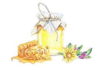 Honeypot with honeycombs and clover watercolor painting