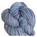 Koigu KPPPM Yarn - P409