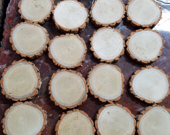 50 - 5 inch sassafras slices
