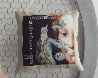 Shabby chic CURIOSITY CABINET door cushion