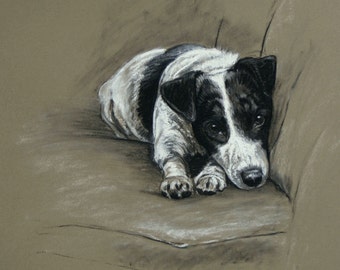 Jack Russell Terrier dog gift dog lover gift LE print from an original chalk and charcoal available unmounted or mounted ready to frame