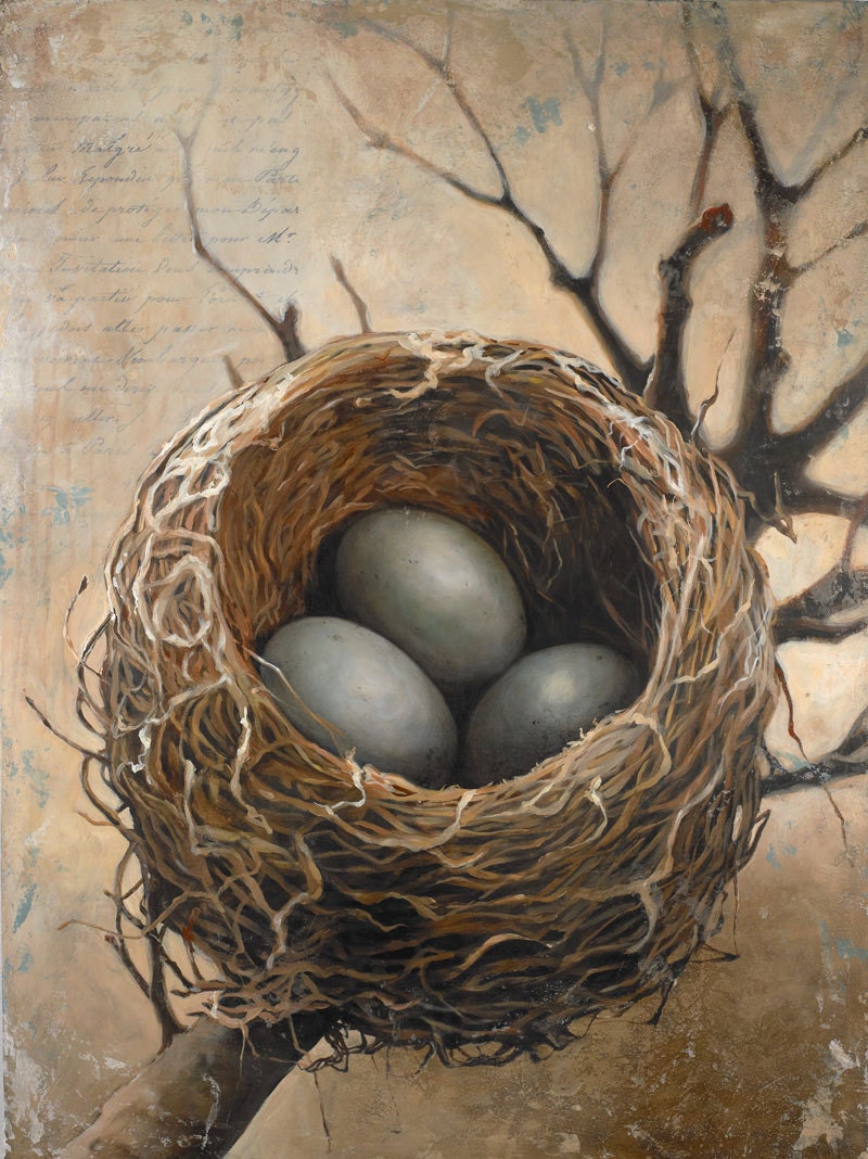 Three Bird Nest Art Framed 18 x 24 Wall Art Print 3 Bird
