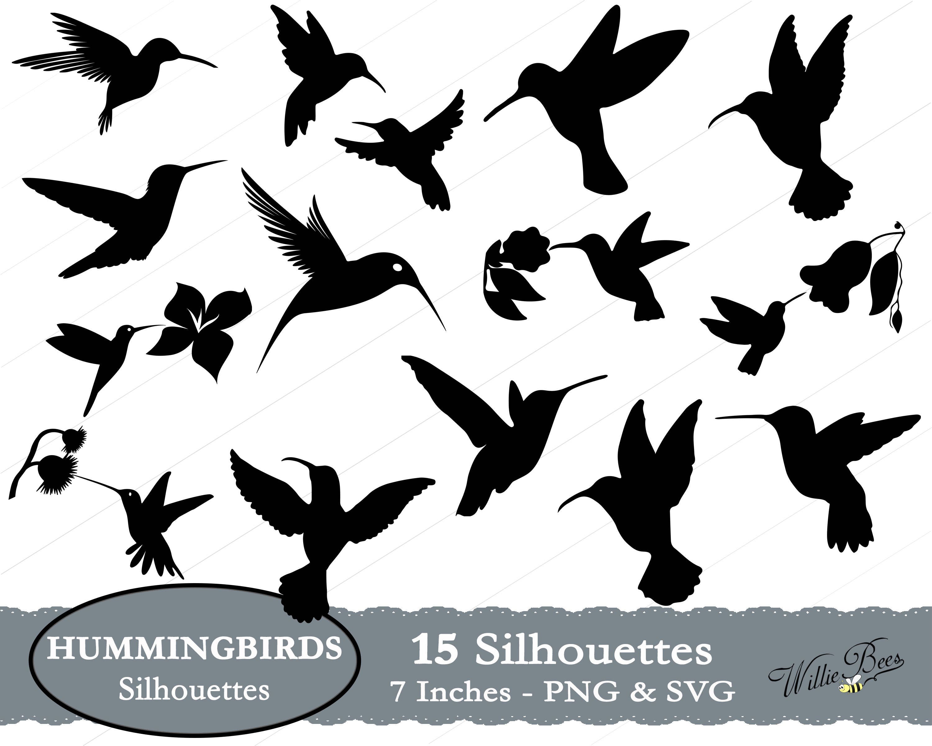 Hummingbird SVG Bird Silhouette Clipart Long Beak