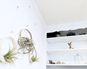 Large Airplant Ring Cradle Sling Hanging Planter Display for Air Plant MADE TO ORDER