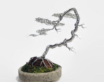 Miniature Bonsai Tree - Literati (Bunjin) style