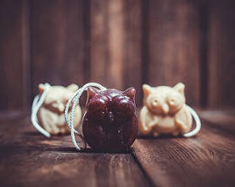 Set of 5 soaps owls the fragrance of fruit