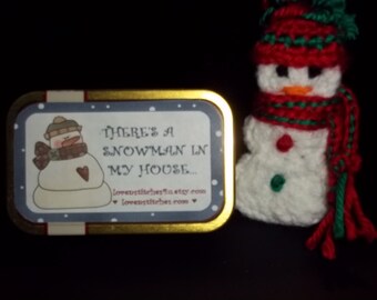 This Altoids Tin Play set - There is a Snowman in My House.