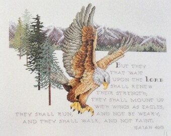 Isaiah 40:31 Cross Stitch Pattern Leaflet Leisure Arts 2569 Bible Verse Bald Eagle
