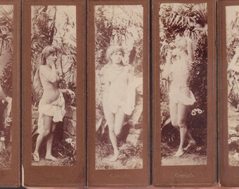 Die Fünf Sinne / The Five Senses.