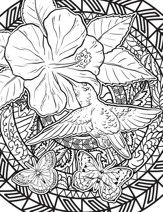 Download Items similar to Hummingbird Coloring Page| Adult Coloring Page | Hibiscus Flower | Butterflies ...