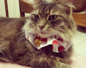 Bright coloured cat collar cover with loud bell warns birds and wildlife