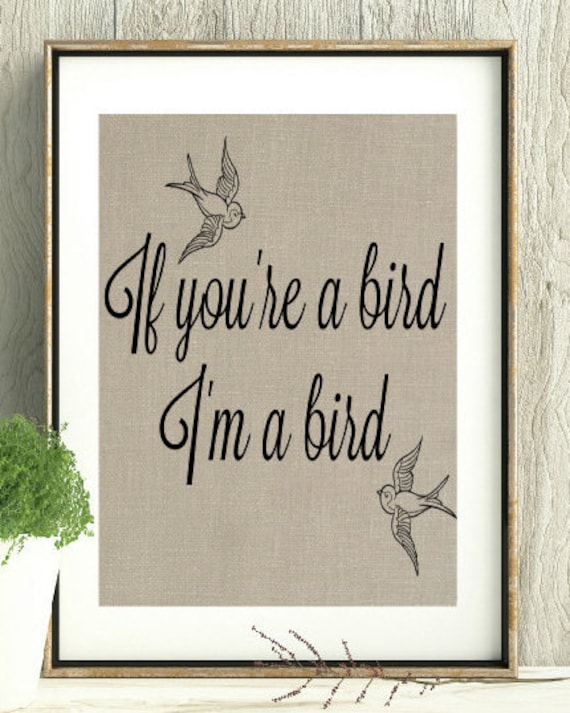 The Notebook Quote Noah and Alley If you're a bird