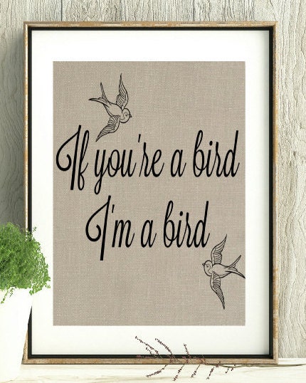 The Notebook Quote Noah and Alley If you're a bird