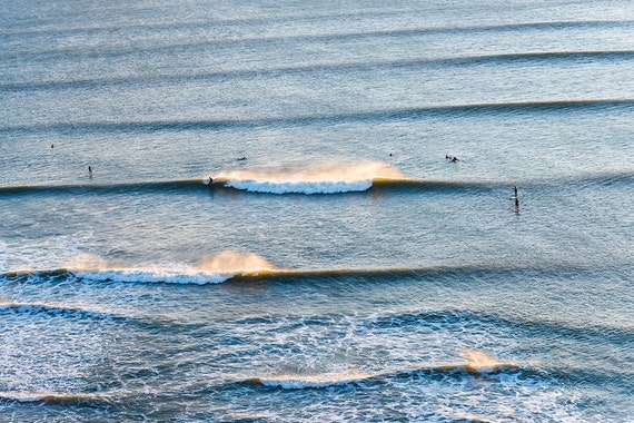Jurrassic Surfing 1.