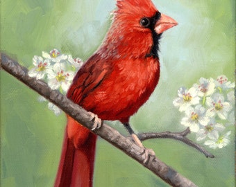 Red Cardinal - bird painting - Open edition print - bird print