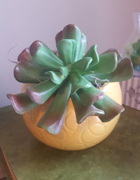 Cactus Succulents Round Vase Succulent Flowers Succulent