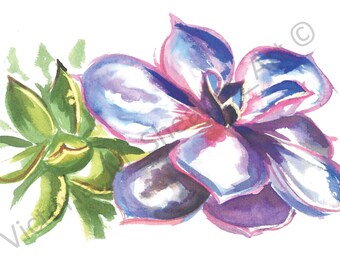 Ink SUCCULENT ARRANGEMENT Print A4 By VMS (From Original Artwork)
