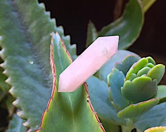 Rose Quartz Terminated Cut Point- Rose Quartz Double point