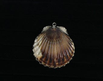 vintage real shell pendant - handmade - pretty!