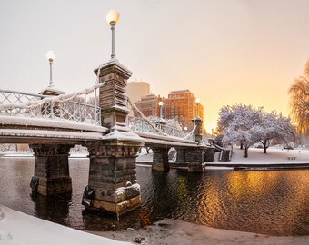 Photograph of the Boston Public Garden