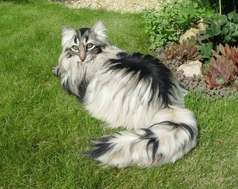 SAMPLE !!! for customised longhaired Cat / Life-Size/ OOAK/ Artist Cat/ Needle Felted/