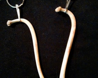 Raccoon Baculum Bone Keychain