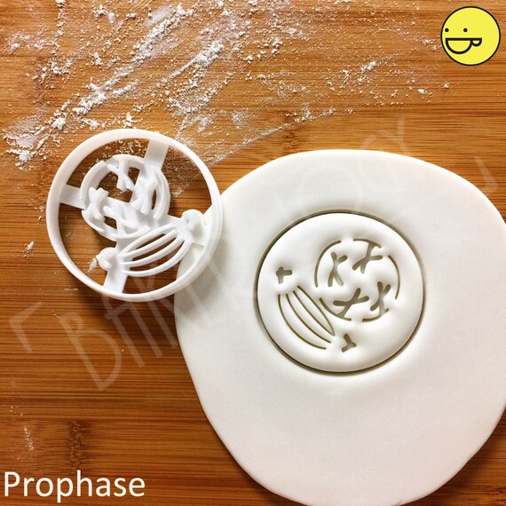 Prophase cookie cutter Mitosis biscuit cutters cell cycle