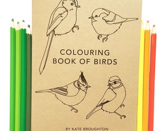 Colouring Book of Birds , bird coloring book - recycled / eco friendly - illustrated colouring book