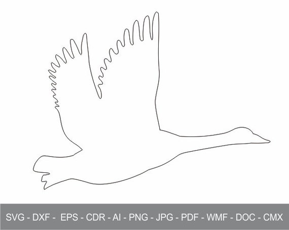 Southern Hummingbird Tweet Rarlab Southern Hummingbird Tweet Rarlab