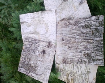 birch bark sheets etsy birch bark sheets