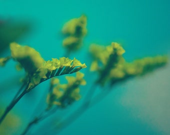 Green Plant Digital Download