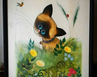 Big Eyed Siamese Kitty