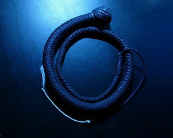 Practice Whip - Prototype Series