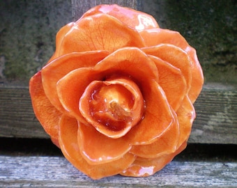 Free Shipping REAL Natural Preserved Pumpkin Orange ROSE Pin and Pendant