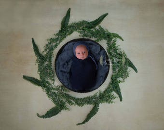 Leaves and Ferns Newborn Digital Backdrop with Blue Blanket