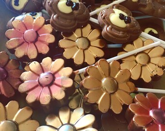Pack of 10 Belgian chocolate lollipops