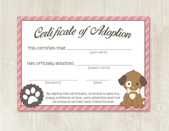 Free Printable Birth Certificates For Cats Free Printable Birth Certificates For Cats