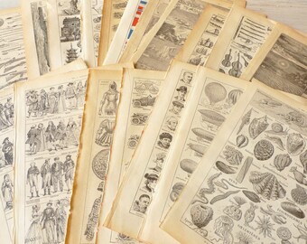 Bundle of 15 Illustrated Vintage Dictionary Pages, Random Selection for Scrapbooking, French Paper Ephemera, Clip Art DIY