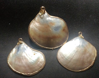 Vintage gold edged Varigated Shells pendants. 1060454