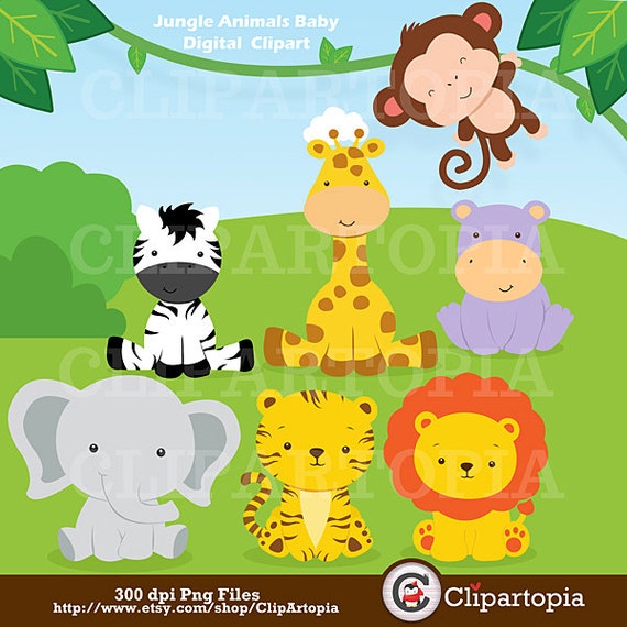 Jungle Animals Baby Digital Clipart / Safari Animals Clip art