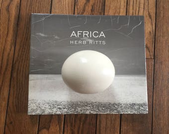 An ostrich eggshell