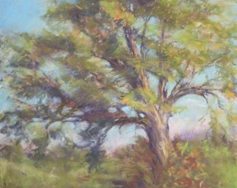 Hubbardton Crabapple Tree