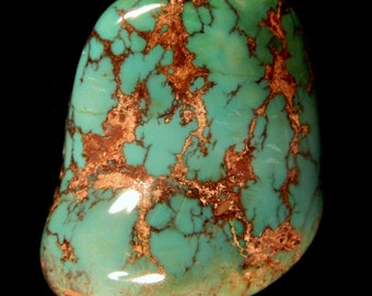 Carico Lake Nevada Massive High Dome Turquoise Bolo!